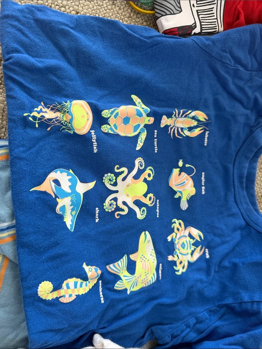 5 -5t boys tshirts GAP/old navy Royal Blue Kids Short Sleeve Graphic Tee